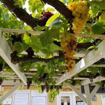 Hecker Pass Winery - Outside - Wineries Near Me - Gilroy, California