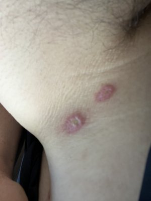 BITA BAGHERI ,MD - Updated February 2026 - 29 Photos & 169 Reviews