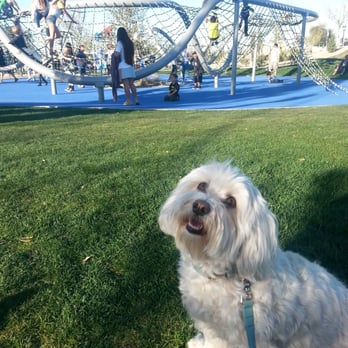 Riverview Park - Wave jungle gym. - Parks Near Me - Mesa, Arizona