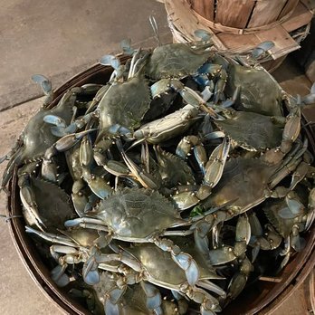 KOOL Ice & Seafood - Seafood Markets Near Me - Cambridge, Maryland KOOL Ice & Seafood - Seafood Markets Near Me - Cambridge, Maryland