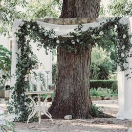 Greenery, drape, and arch provided by Exquisite Petals Greenery, drape, and arch provided by Exquisite Petals