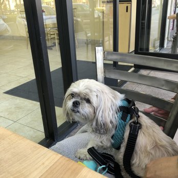 Dvine Mediterranean Experience - Long Beach - Dog friendly patio - Mediterranean Near Me - Long Beach, California