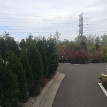 Pike Nurseries - Nurseries & Gardening Near Me - Charlotte, North Carolina