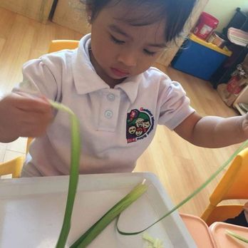 Greatstart International School - Preschools Near Me - Parañaque City, NCR