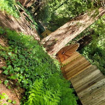 Jewel In the Forest - Art Classes Near Me Jewel In the Forest - Art Classes Near Me