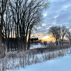 Whitetail Woods Regional Park
