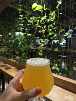 Young Blood Beer Company - King Street by null