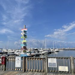 Charleston Harbor Marina