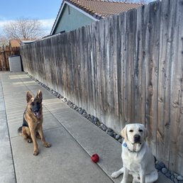 Augie and Freddie