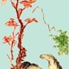 Oriental Medical Arts gift card