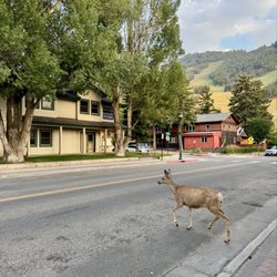 Town of Jackson