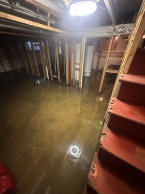 Water damage restoration - Water, mold, or fire damage can turn life upside down. At Property Restore and More, we help you take the next step toward getting your property back.
These photos showcase the care and procedures behind our restoration work, from protecting affected areas and addressing the damage to cleaning, drying, and preparing for repairs. Every project is different, but our focus stays the same: clear communication, careful workmanship, and helping our clients move forward with confidence.
Real projects. Proven care. A path forward.
Property Restore and More | A division of Plow and Property Projects, LLC Water damage restoration - Water, mold, or fire damage can turn life upside down. At Property Restore and More, we help you take the next step toward getting your property back.
These photos showcase the care and procedures behind our restoration work, from protecting affected areas and addressing the damage to cleaning, drying, and preparing for repairs. Every project is different, but our focus stays the same: clear communication, careful workmanship, and helping our clients move forward with confidence.
Real projects. Proven care. A path forward.
Property Restore and More | A division of Plow and Property Projects, LLC