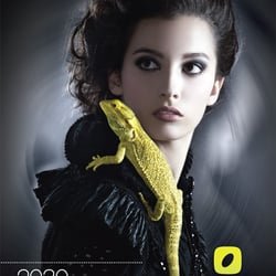 Orbit Salon - Hair by Clay Jones
