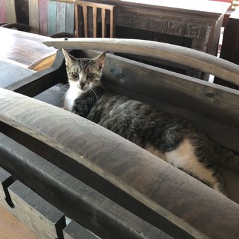 Pottery Ranch - Out back kitty - Nurseries & Gardening Near Me - Marble Falls, Texas