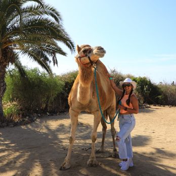 Shade & Travel - Excursion - Travel Agents Near Me Shade & Travel - Excursion - Travel Agents Near Me