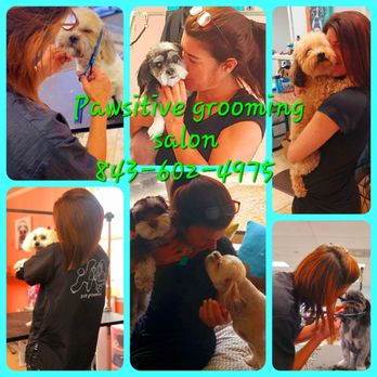 Pawsitive Grooming Salon - A Paw-Some day - Pet Groomers Near Me - Conway, South Carolina Pawsitive Grooming Salon - A Paw-Some day - Pet Groomers Near Me - Conway, South Carolina