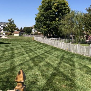Solid Ground Solutions - a fenced yard with a dog in the foreground - Tree Services Near Me Solid Ground Solutions - a fenced yard with a dog in the foreground - Tree Services Near Me