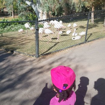 Phoenix Zoo - Zoos Near Me - Phoenix, Arizona