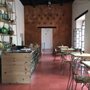 Photo of Archivo Maguey