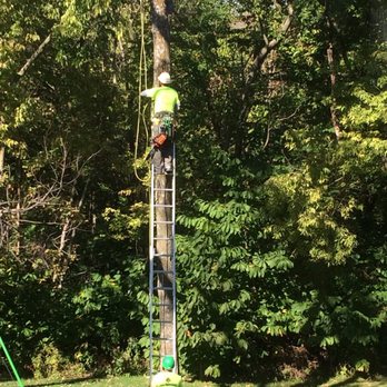 Mr Rogers Tree Service - Tree Services Near Me - Kansas City, Missouri Mr Rogers Tree Service - Tree Services Near Me - Kansas City, Missouri