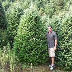 Londrico’s Christmas Trees - Founder of Londricos Christmas trees in one of our Fraser Fir fields.  We grow our own trees.