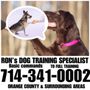 Photo of Ron's Dog Training