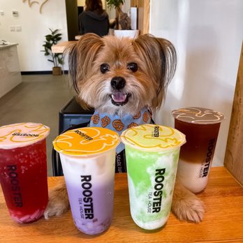 Rooster Tea - Costa Mesa - IG @FoodandPooch - Bubble Tea Near Me - Costa Mesa, California Rooster Tea - Costa Mesa - IG @FoodandPooch - Bubble Tea Near Me - Costa Mesa, California
