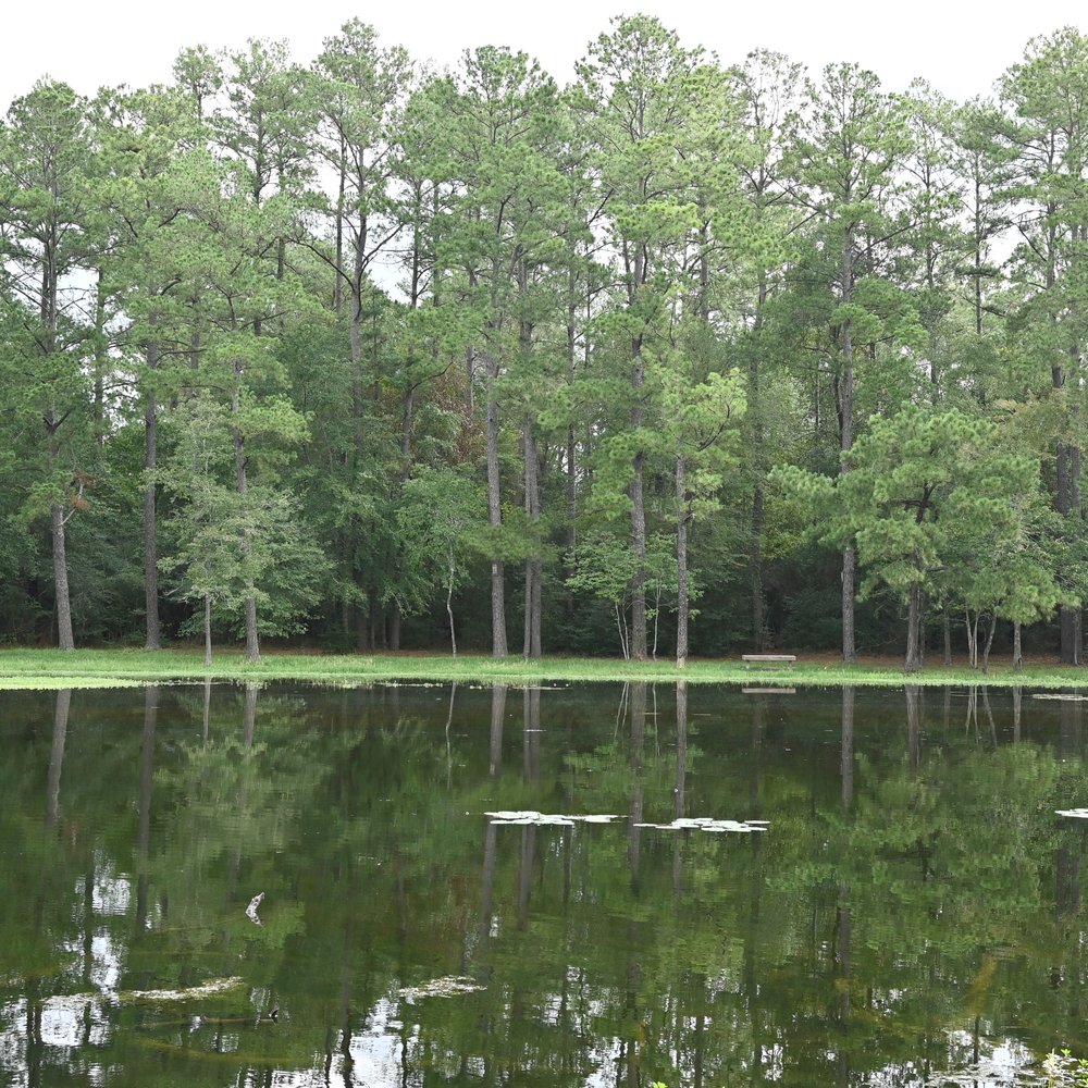 Spring Creek Greenway Nature Center - Parks Near Me - Spring, Texas Spring Creek Greenway Nature Center - Parks Near Me - Spring, Texas