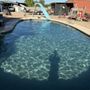 Photo of Stazzi’s Pools