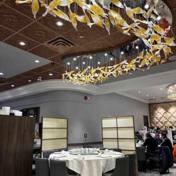 Starchiva - Vibes - Chinese Near Me - Richmond Hill, Ontario Starchiva - Vibes - Chinese Near Me - Richmond Hill, Ontario
