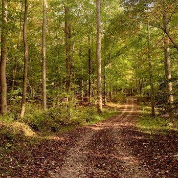 Pocahontas State Park - Photographer's Dream Hike thru Nature - Parks Near Me - Chesterfield, Virginia Pocahontas State Park - Photographer's Dream Hike thru Nature - Parks Near Me - Chesterfield, Virginia