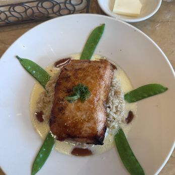 The Cheesecake Factory - Miso Salmon** - New American Near Me - Tampa, Florida