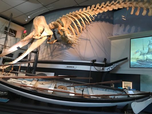 Nantucket Whaling Museum by null