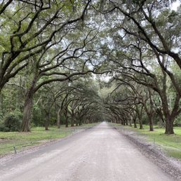 Warmsloe Oak entrance Warmsloe Oak entrance
