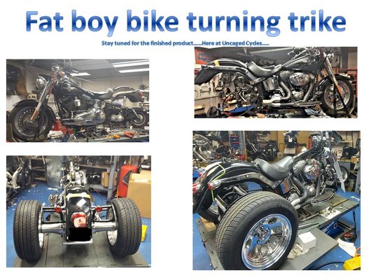 Gone Frankenstein - Customer came in and wanted his Fat Boy turned into a trike. Many customizations were done throughout the build. Changes and additions, exactly what we like, make the bike yours....