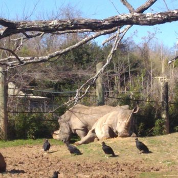 Cameron Park Zoo - Zoos Near Me - Waco, Texas Cameron Park Zoo - Zoos Near Me - Waco, Texas