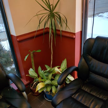 Jiffy Lube - Real plants! - Oil Change Stations Near Me - Madison, Wisconsin Jiffy Lube - Real plants! - Oil Change Stations Near Me - Madison, Wisconsin