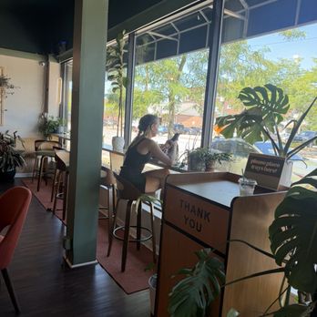Toasted - More seating looking out to the streets - Breakfast & Brunch Near Me - Lakewood, Ohio Toasted - More seating looking out to the streets - Breakfast & Brunch Near Me - Lakewood, Ohio