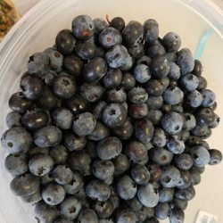 Awald Farms - Bluberries, sweet , large, juicy $1.75 lb....if you have time its worth the drive to North Collins