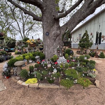 Enchanted Forest - Fairy garden - Nurseries & Gardening Near Me - Richmond, Texas