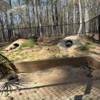 Dauset Trails Nature Center - Hiking Near Me - Jackson, Georgia