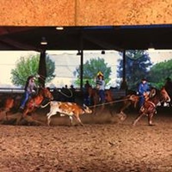 Valley Feed - Pet Stores Near Me - Madera, California Valley Feed - Pet Stores Near Me - Madera, California