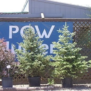 Pow Nursery - Nurseries & Gardening Near Me - Wilton, California Pow Nursery - Nurseries & Gardening Near Me - Wilton, California