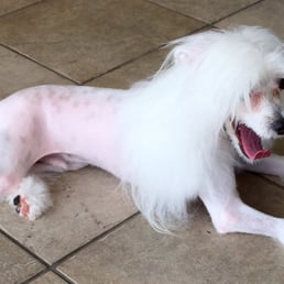 After groom After groom