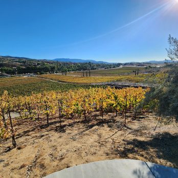 Grapeline Wine Tours - Wine Tours Near Me - Temecula, California Grapeline Wine Tours - Wine Tours Near Me - Temecula, California