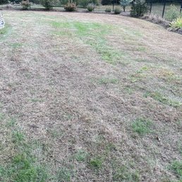 The lawn care that Tru green is responsible for The lawn care that Tru green is responsible for