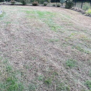 TruGreen Lawn Care - The lawn care that Tru green is responsible for - Tree Services Near Me - Windsor, Connecticut TruGreen Lawn Care - The lawn care that Tru green is responsible for - Tree Services Near Me - Windsor, Connecticut