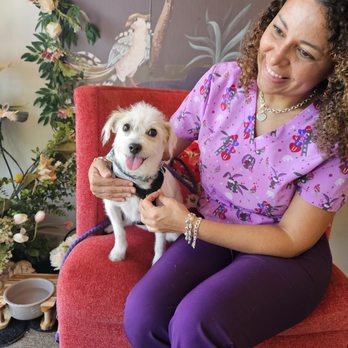 Lulu's Pet Spa - Pet Groomers Near Me - Davie, Florida