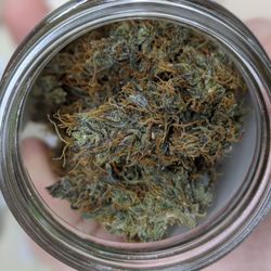 Love is an Ingredient - THC Store