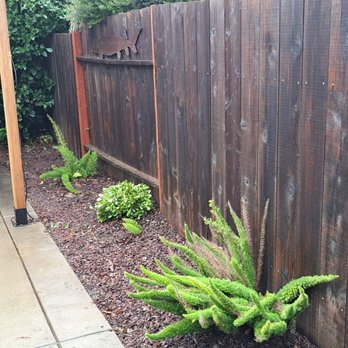 Plan D Fence Inc - Great fast work! - Fences & Gates Near Me Plan D Fence Inc - Great fast work! - Fences & Gates Near Me